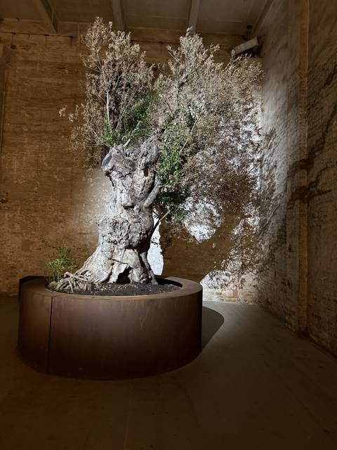 Venice Biennale, Arsenale