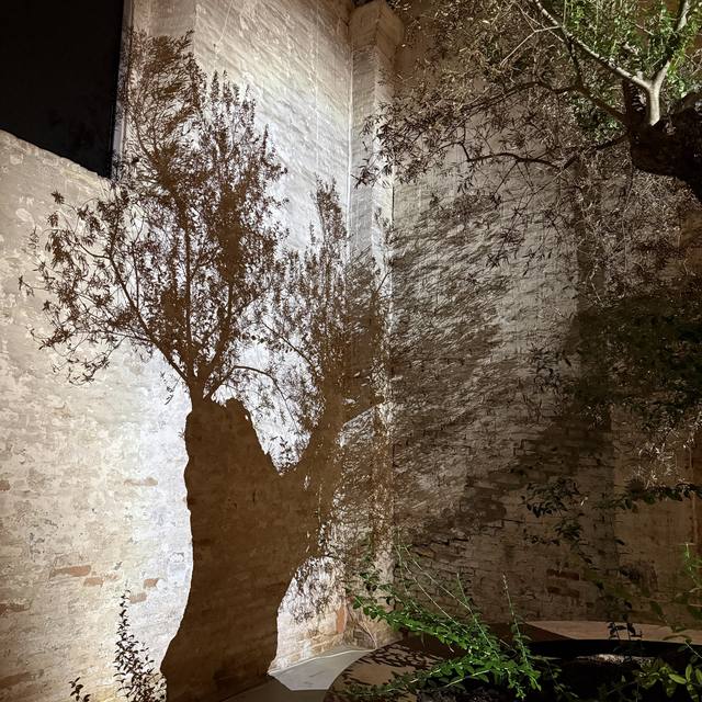 Venice Biennale, Arsenale