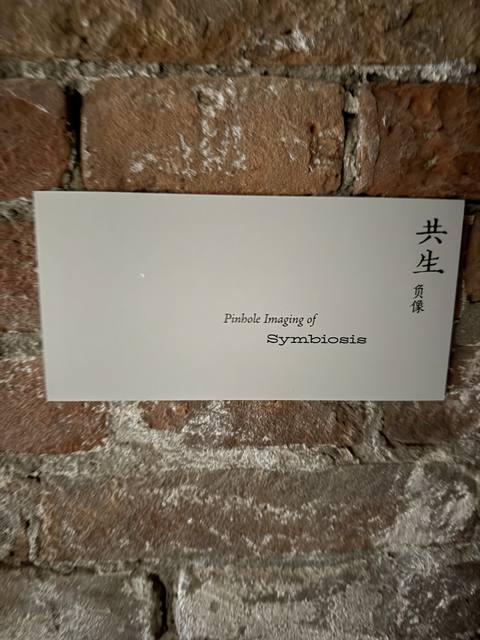 Venice Biennale, Arsenale, China