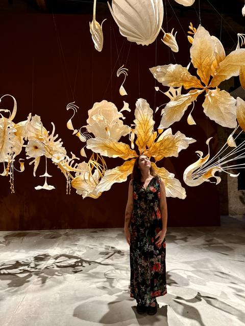 Venice Biennale, Arsenale, India