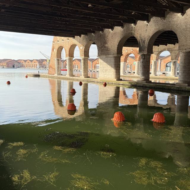 Venice Biennale, Arsenale, Outdoor Water Installation