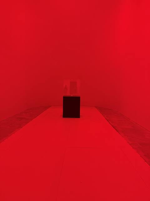 Venice Biennale, Arsenale, The End of the World (2023–2024)