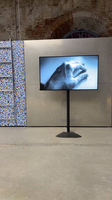 Venice Biennale, Arsenale, Extras