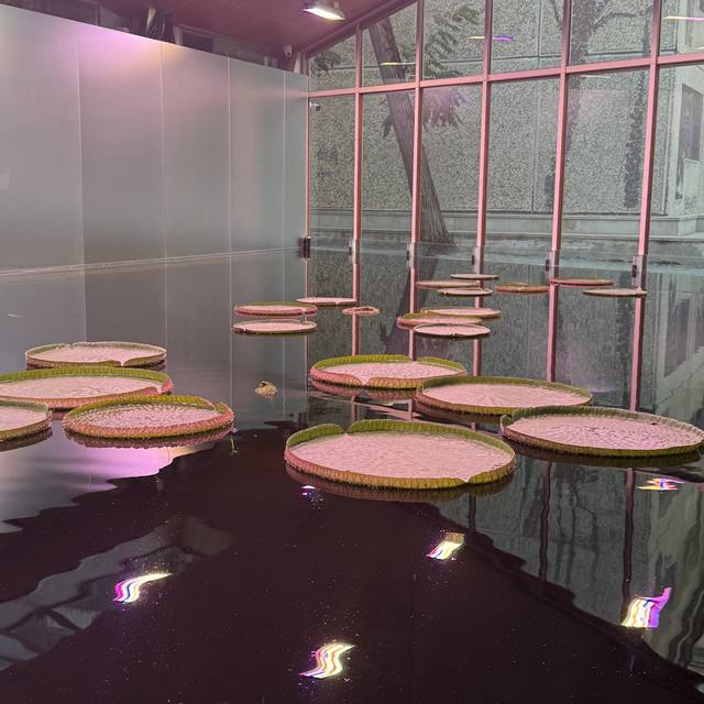 Venice Biennale, Giardini