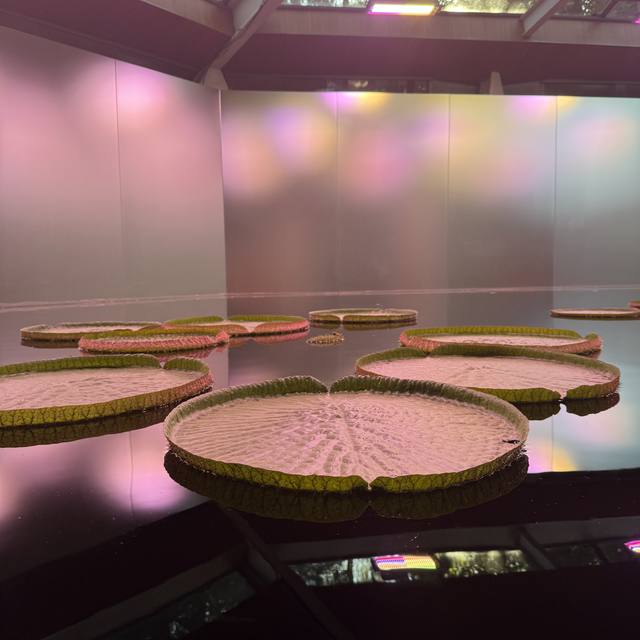 Venice Biennale, Giardini