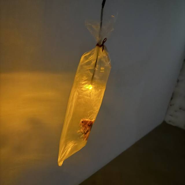 Venice Biennale, More Pavilions & Exhibitions, Hong Kong Pavilion