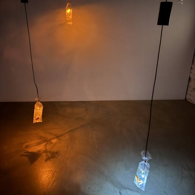 Venice Biennale, More Pavilions & Exhibitions, Hong Kong Pavilion