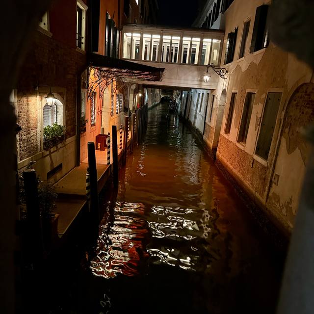 Walking around Venice, Venice Biennale