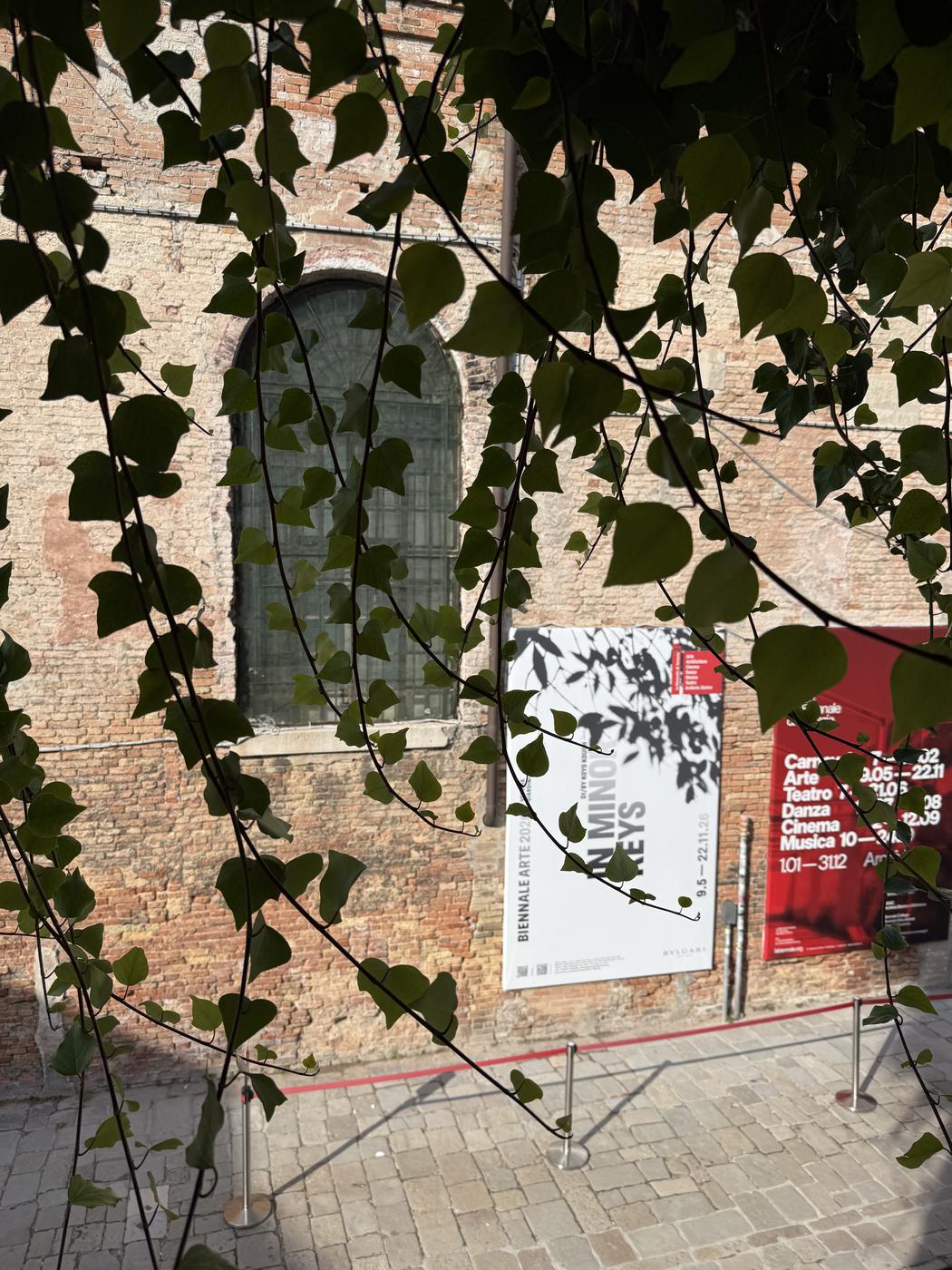 Venice Biennale, In Minor Keys: the exhibition banner on a brick wall seen through ivy leaves.